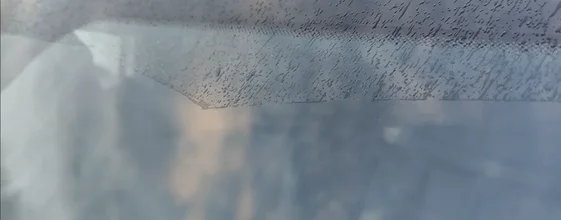 1760420594192.webp
